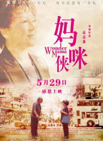久久亚洲精品国产精品婷婷